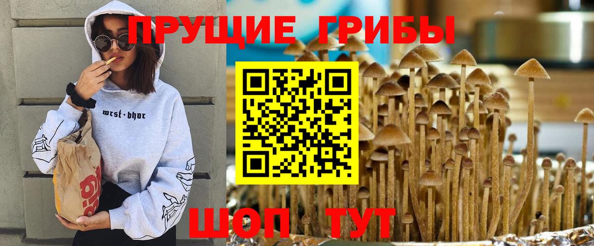 Псилоцибиновые грибы мухоморы  Псилоцибиновые грибы Psilocybe  Белгород  Вход с VPN 
